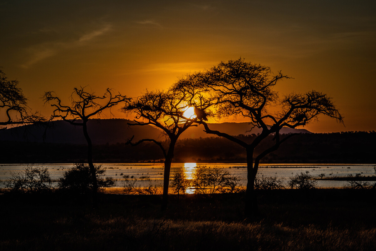 Sunset, Tarangire, Tanzania