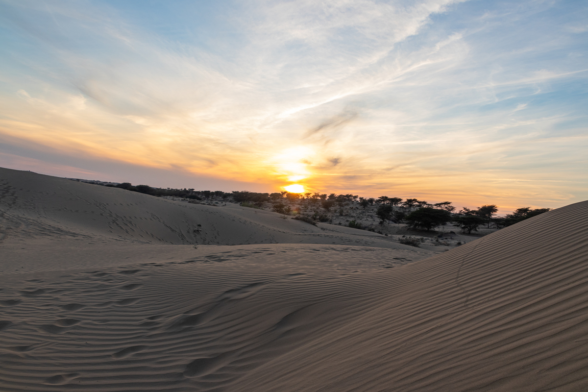 Thar dessert sunset, India